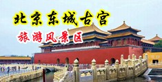 淫荡女人插大鸡巴视频中国北京-东城古宫旅游风景区